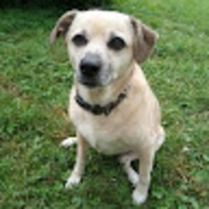 Meet your Posher, Pam